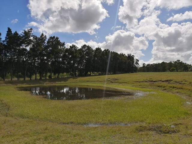 Quinta para Venta en Maldonado - 5