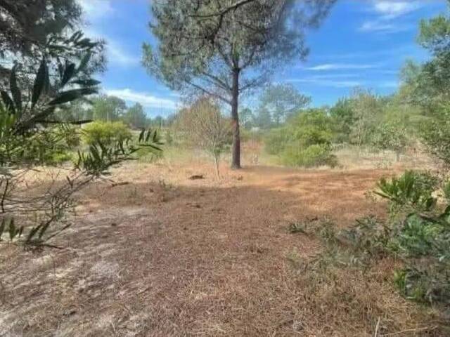 #62 - Área para Venta en Canelones - UY-CA