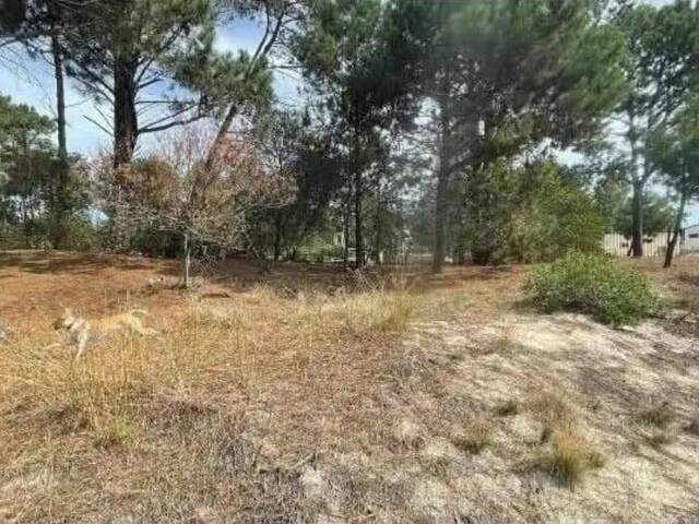 #62 - Área para Venta en Canelones - UY-CA
