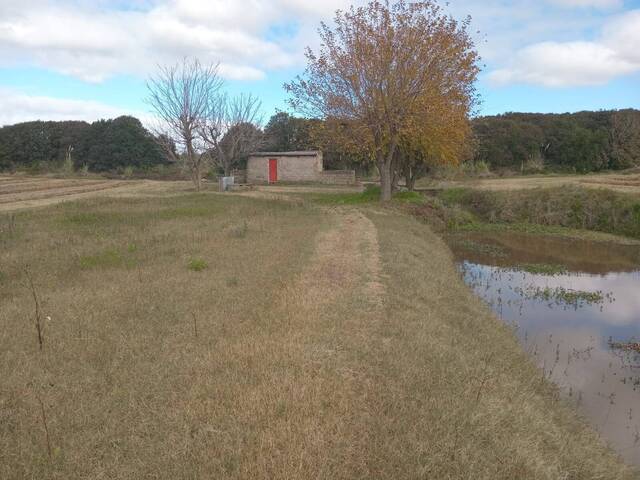 #63 - Quinta para Alquiler en Canelones - UY-CA