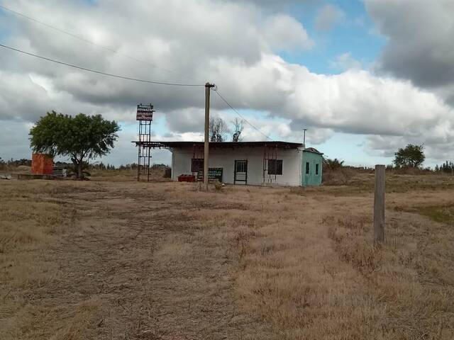 #70 - Quinta para Alquiler en Canelones - UY-CA