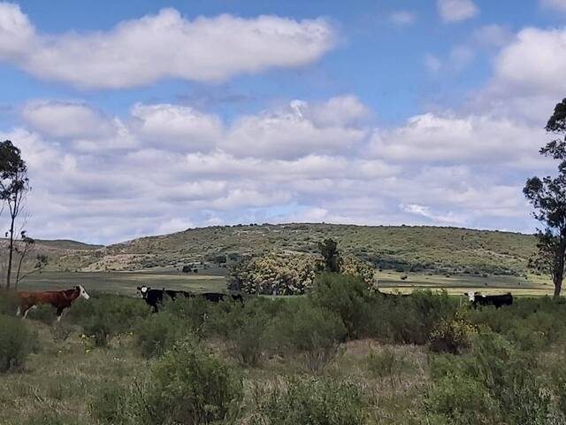 Quinta para Venta en Colón - 4
