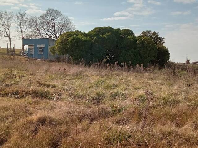#71 - Quinta para Alquiler en Canelones - UY-CA