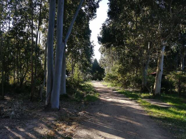 Casa para Venta en Canelones - 5