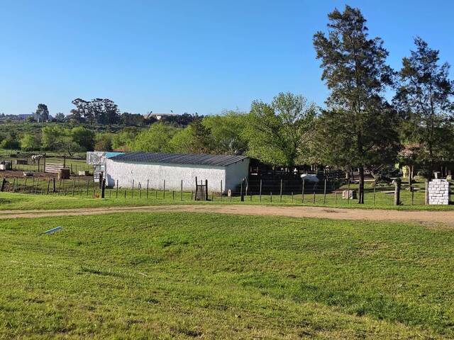 #92 - Oficina para Venta en Montevideo - UY-MO