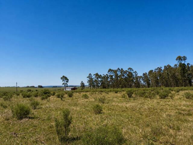 #73 - Quinta para Venta en Colón - UY-LA