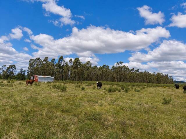 #73 - Quinta para Venta en Colón - UY-LA